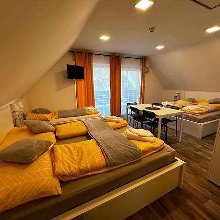 住宿加早餐酒店 Panzio 4*